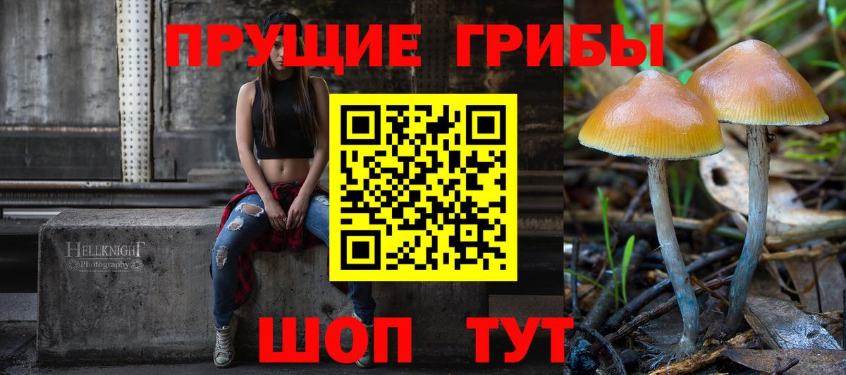 Галлюциногенные грибы прущие грибы  Псилоцибиновые грибы мицелий  Вход с VPN  Воткинск 